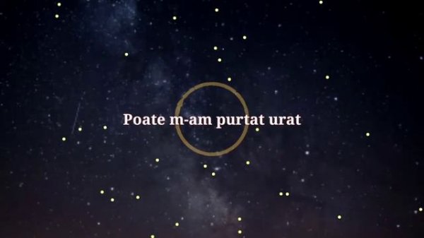 Despre Tine - Ozone and Lyrics