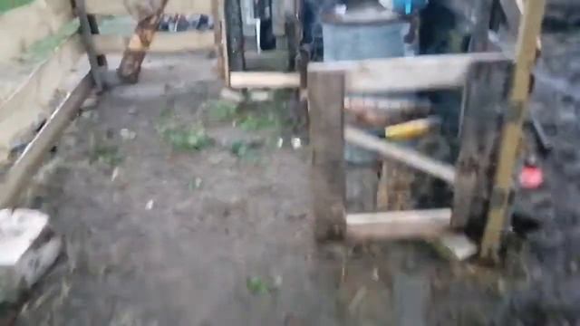 Атака клещей на коз😮🕷️просто ужас смотреть онлайн