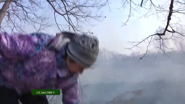 Сельсовет. В южных районах Приморья всё готово к началу посевной компании смотреть онлайн
