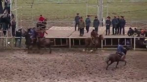 Кок бору Бойка ( Манас Ныязов)