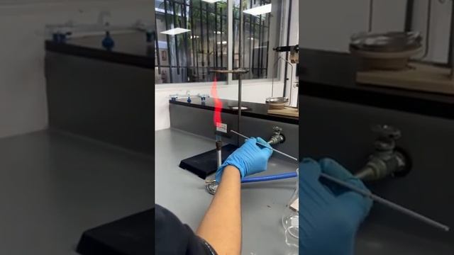 Demostración De Ciencias Agricolas Y Ambientales