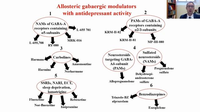 GIANLUCA SERAFINI: Depressione Maggiore Il Futuro Del Trattamento