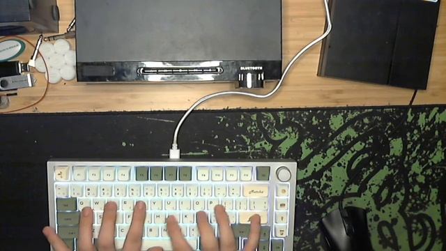 [Tempest Tape Mod] Glorious GMMK Pro lubed Glorious Pandas w/ lubed Stock Stabilizer