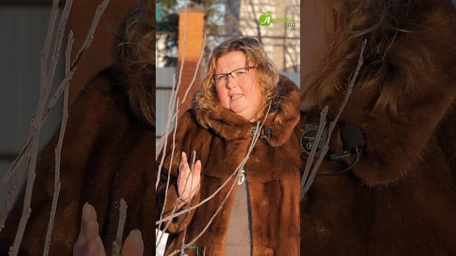 Защитите деревья от зайцев! смотреть онлайн