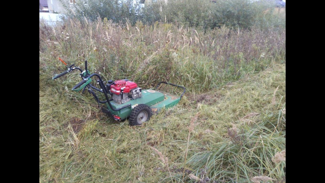 Покос Раменский район / Косим Billy Goat / Мульчирующий покос травы