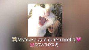 🎀Музыка для флешмоба🎀|песни тик ток 2024|