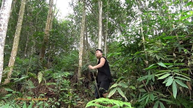 Survival Skills: Primitive Girl Smart Fishing Catch Big Fish By Fish Trap - Cooking Big Fish