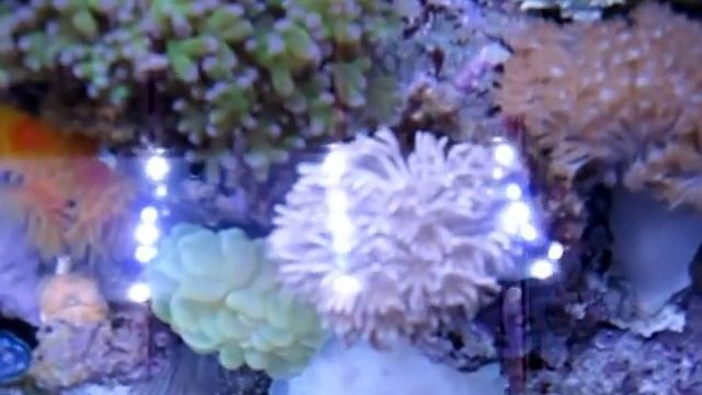 ZETLIGHT LED Lighting System For Aquarium