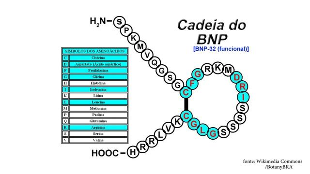 DNA смотреть онлайн