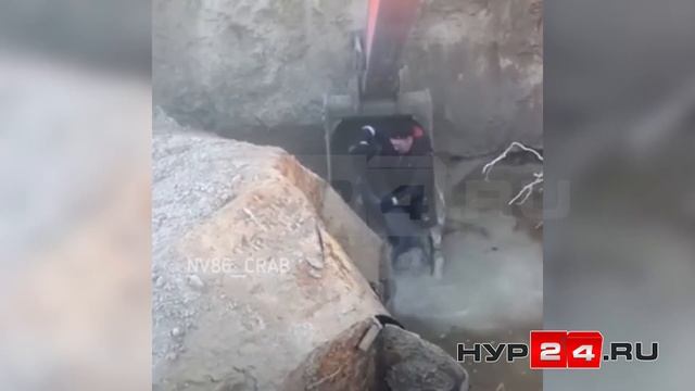 В ХМАО рабочие спасли собаку из ямы с водой смотреть онлайн