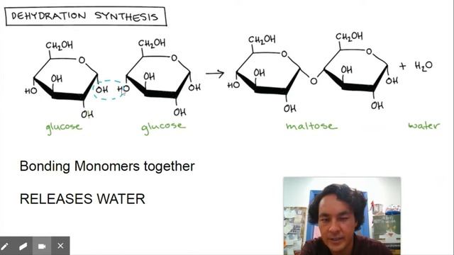 AP Bio Unit 1 Review Video - Chemistry Of Life