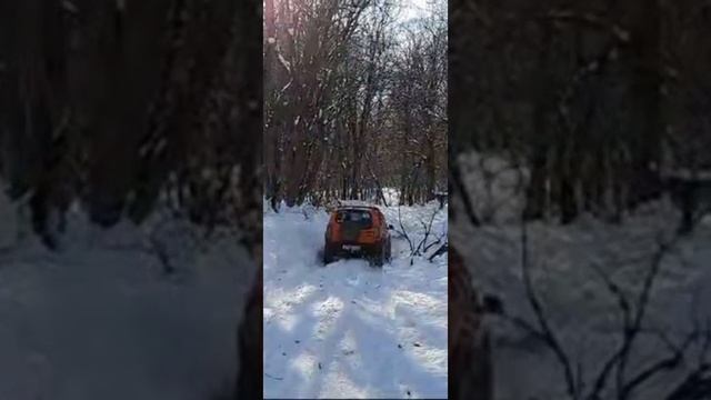 Подарок от леса смотреть онлайн