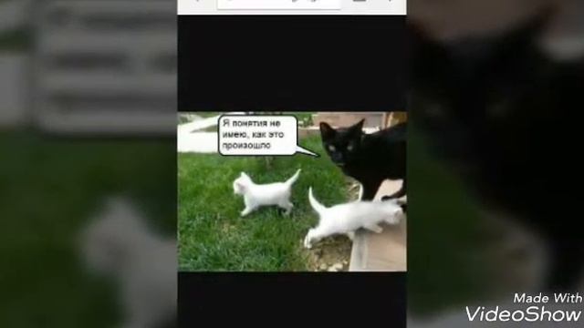 Зверьки смотреть онлайн