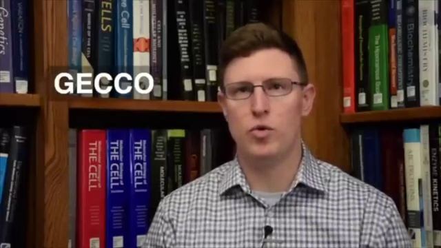 Refuting "Evolutionary Predictions" (Jackson Wheat Video) смотреть онлайн