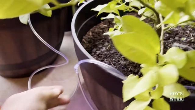 RAINPOINT WiFi Automatic Watering System For Indoor Plants | Drip Irrigation Kit | Self-Watering DI смотреть онлайн