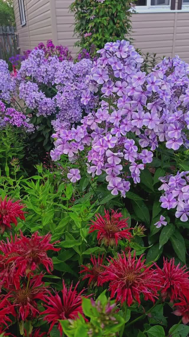 Прекрасный, но ненадежный