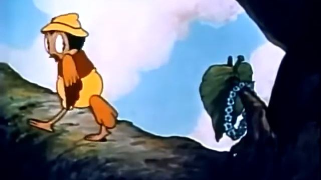 Hawaiian Birds 1936  _  Public Domain _ Общественное достояние