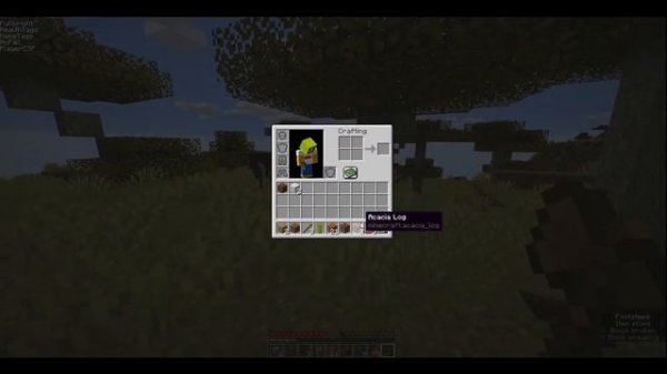 MINECRAFT MANHUNT but I CHEAT | Minecraft