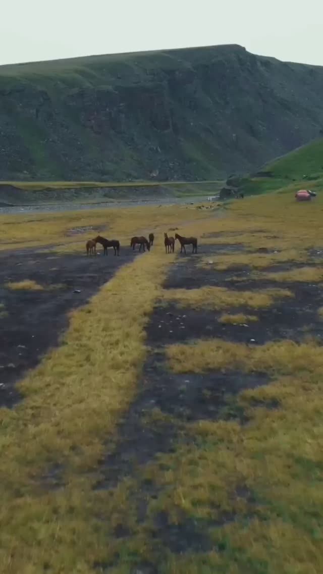 Экспедиция к Эльбрусу 2023 #семейныйотдых #путешествия #эльбрус смотреть онлайн