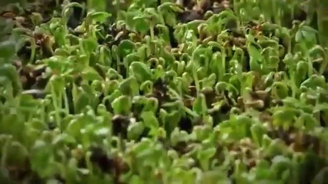 Могущество смотреть онлайн