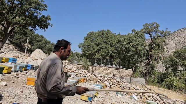 The Arrest Of The Unfaithful Husband By The Police And His Escape Again To Meet The Kohgol Family