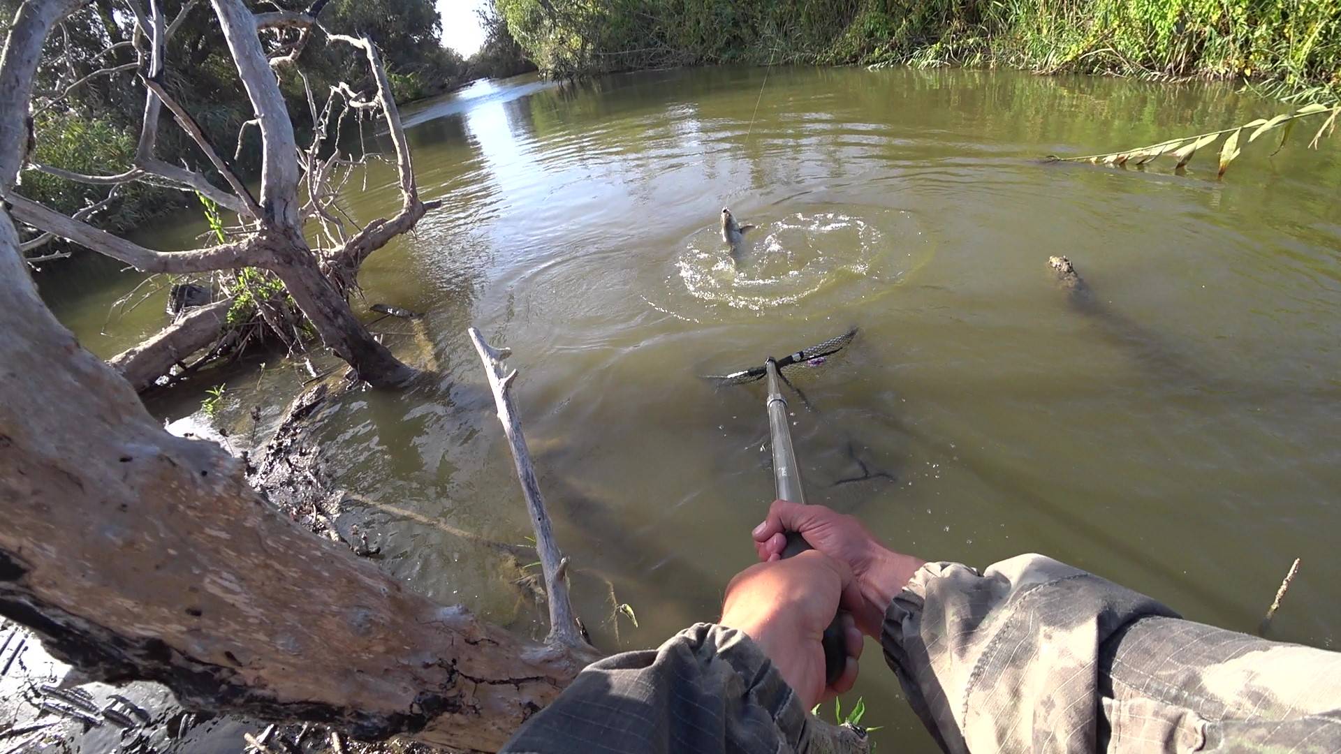ЗАБРАЛИСЬ В ДЕБРИ ДАЛЬШЕ ПУТИ НЕТ РЫБАЛКА В АСТРАХАНИ смотреть онлайн