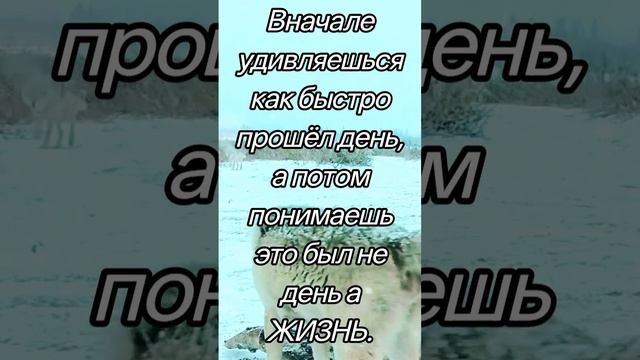 https://youtube.com/@yyuh-j9y?si=VQW_ie7iPJ5tzkjj смотреть онлайн