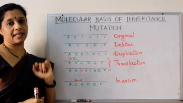 NEET : MOLECULAR BASIS OF INHERTANCE: PART IX MUTATION смотреть онлайн