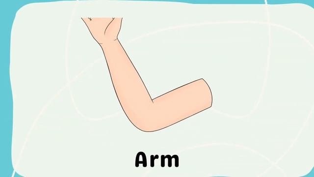 BODY PARTS VOCABULARY and QUIZ смотреть онлайн