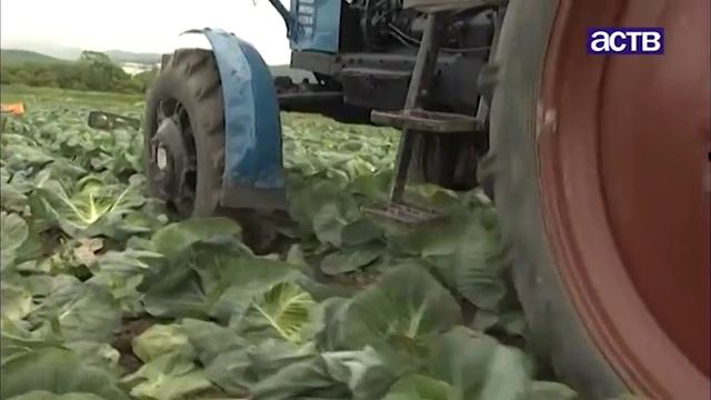 В Сахалинском правительстве прошло расширенное заседание, посвященное экономике региона смотреть онлайн