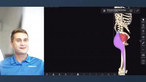 Качаем большую ягодичную мышцу