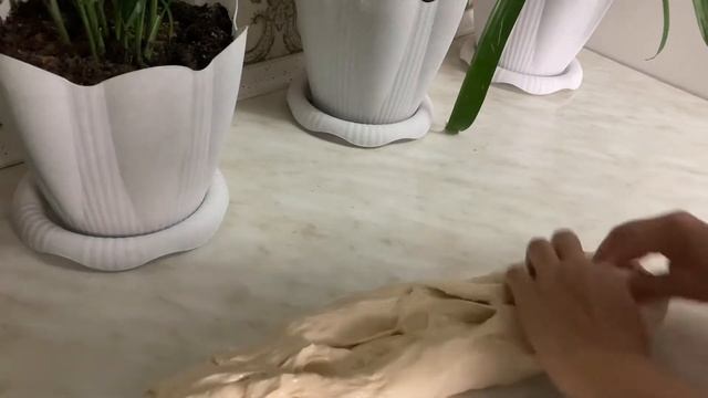 Food Network Fanatic