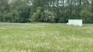 ПОЗОРИЩЕ! ТЫ КТО ТАКОЙ? ТАШКЕНТСКИЙ ПАРЕНЬ С УРАЛА.