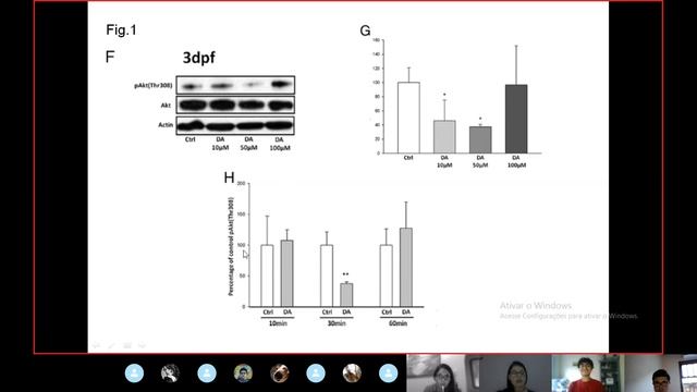 Seminário 3 - Grupo De Pesquisa Estresse Oxidativo E Sinalização Celular - UNIPAMPA, São Gabriel.