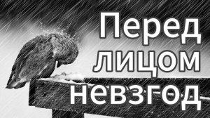 Перед лицом невзгод (Пс. 3)