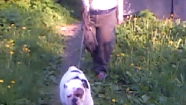 Стичь подрос смотреть онлайн