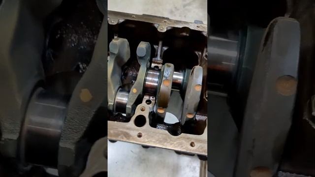 E36 Mafia: 600 RWHP Turbo M5x Engine Build #bmw #m52 #m50 #m52b28 #drift смотреть онлайн