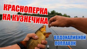 ЭТА СНАСТЬ "КОСИТ" КРУПНУЮ КРАСНОПЕРКУ, ПОПРОБУЙ ОБЯЗАТЕЛЬНО!