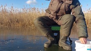 Ловим корюшку в приморском крае, попали на хороший клев.