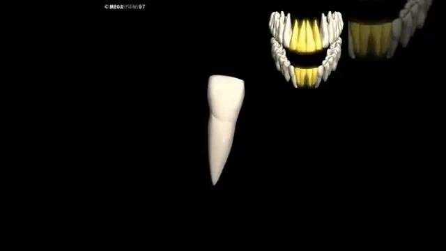 002 Tanden 2 смотреть онлайн