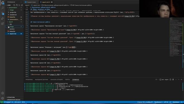 Отчет Лаб. Раб. №4 (СтатАнализ)