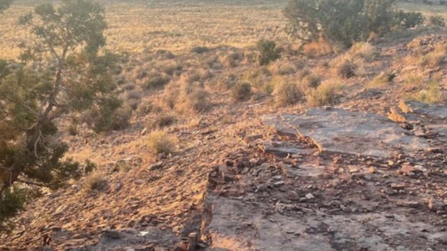 Только обладатели сканирующего зрения в силах разглядеть на этой фотографии лису! смотреть онлайн