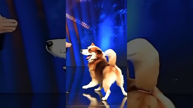 MAGIC MORPH #magic #reels.магея собака смотреть онлайн