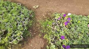 Начало "продолжения стройки" 2021, в Майские каникулы.