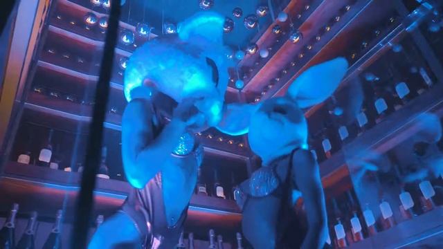 Отчетное видео предновогодней тусовки "ONE bar" смотреть онлайн