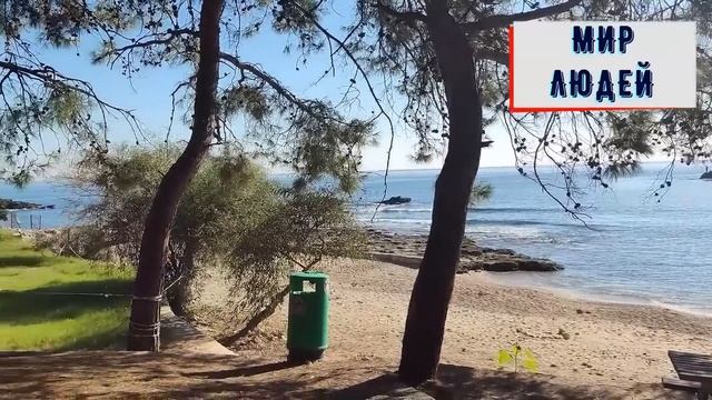 Выгнав мужа из дома, женщина не надеялась увидеть его в своей квартире смотреть онлайн