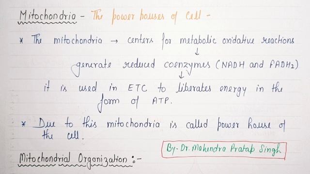 Electron Transport Chain | Introduction | Mitochondrial Components | Biochemistry | BP203T | L~29 смотреть онлайн