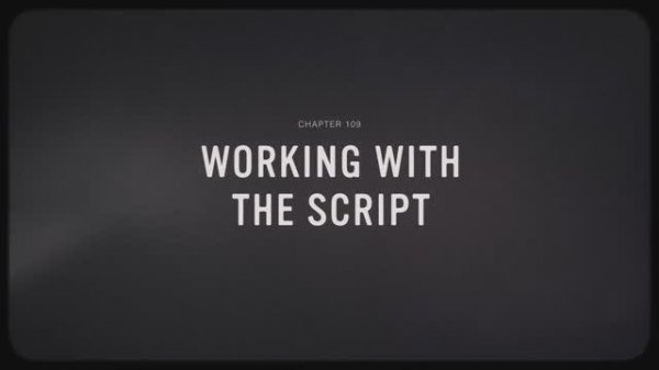 09 - Working With The Script