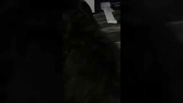 Нервоз у нас смотреть онлайн