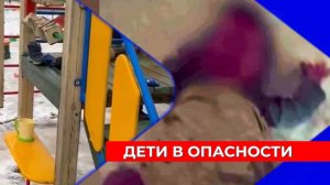 Руководитель регионального СУ СК прокомментировал происшествия с детьми в Нижнем Новгороде